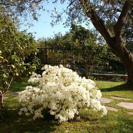 La Vie Est Belle Bed & Breakfast Finale Ligure Dış mekan fotoğraf
