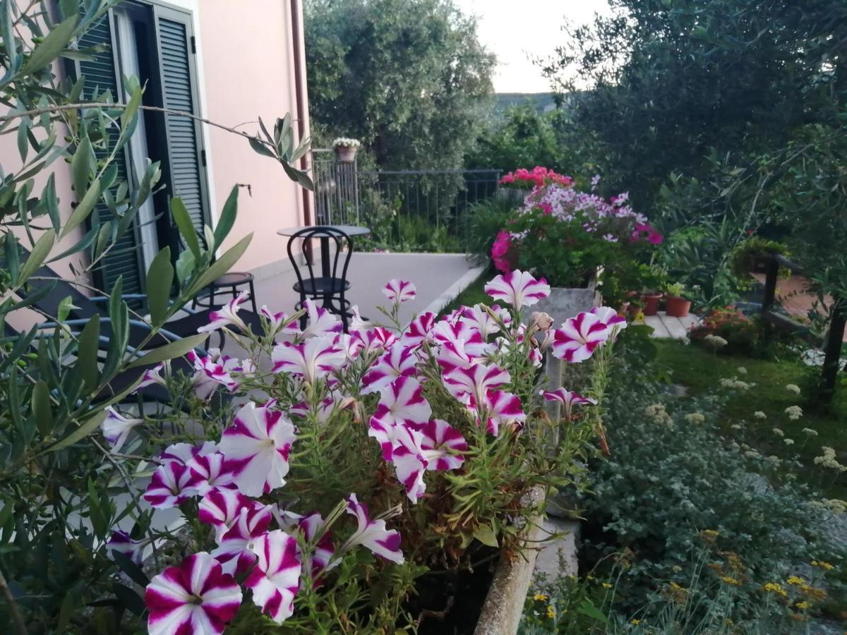 La Vie Est Belle Bed & Breakfast Finale Ligure Dış mekan fotoğraf